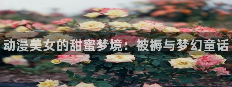 汗汗漫画阅读：动漫美女的甜蜜梦境：被褥与梦幻童话