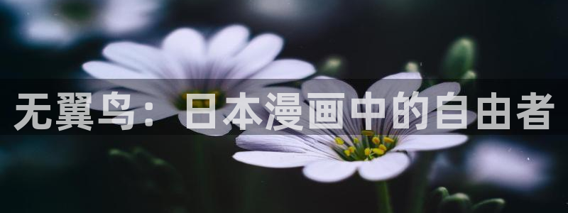 汗汗漫画网站官网：无翼鸟：日本漫画中的自由者