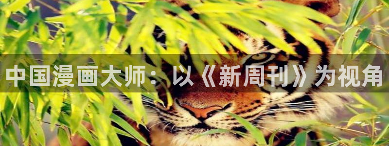 在线看汗汗漫画歪歪漫画：中国漫画大师：以《新周刊》为视角