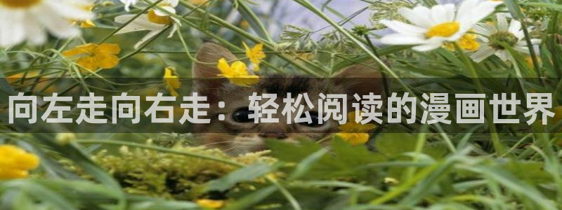 汗汗漫画阅读：向左走向右走：轻松阅读的漫画世界
